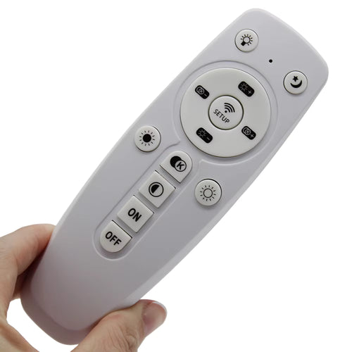 Control remoto